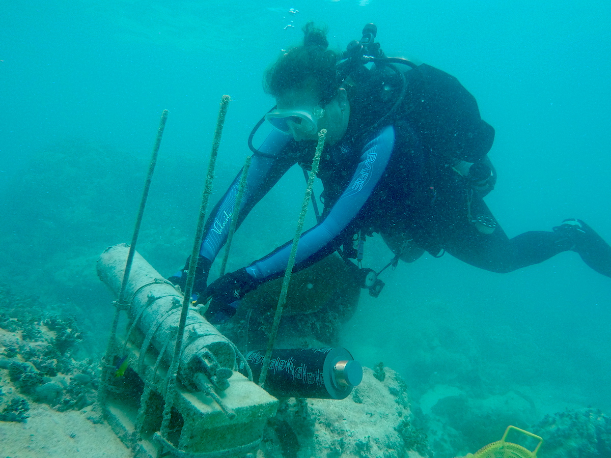 AOML coral scientist Renee Carlton prepares to swap out the ECO-PAR instrument at a dive site in the Upper Keys. Image credit: NOAA 