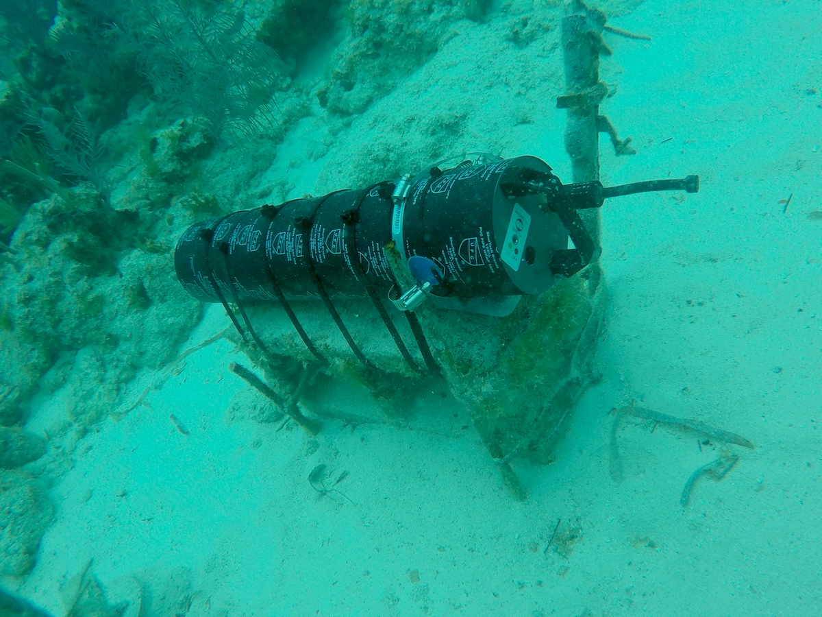A newly installed ECO-PAR sensor to measure light on the reef. Image credit: NOAA