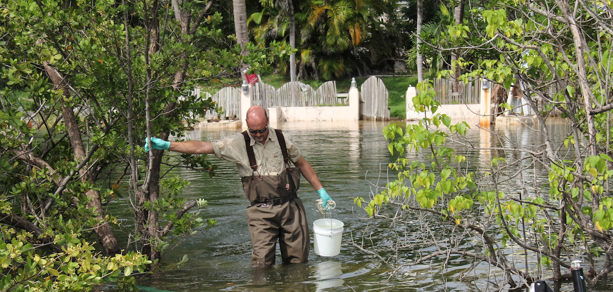 Scientists collect a water sample from a pump location along Indian Creek Dr. Image credit: NOAA