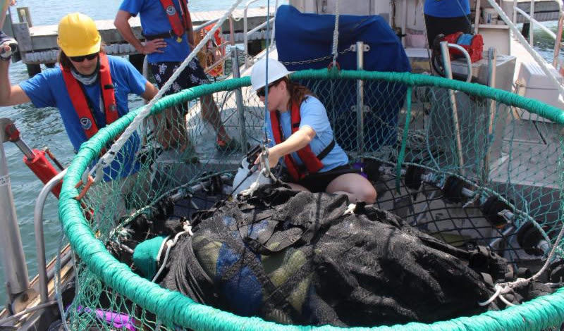 The NOAA team along with personnel from the Gulfarium Marine Adventure Park work to secure a leatherback prior to release. Image credit: Gulfarium Marine Adventure Park