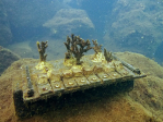 Coral plates left on-site for three months to measure bioerosion rates. Image credit: NOAA