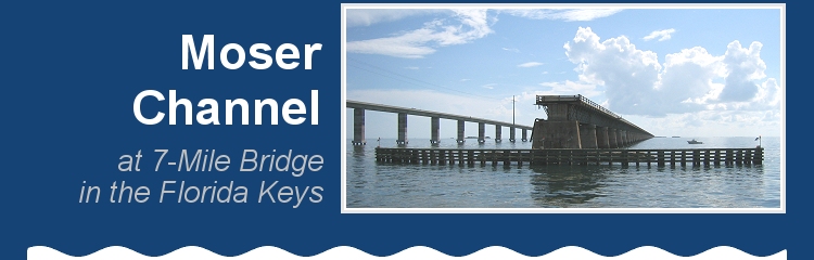 Moser Channel - Oceanographic Monitoring Station