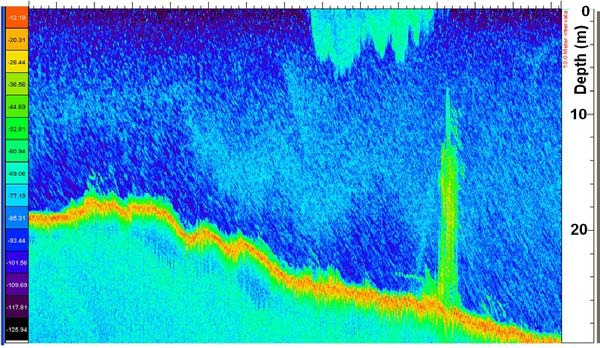 Outfall plume acoustic backscatter