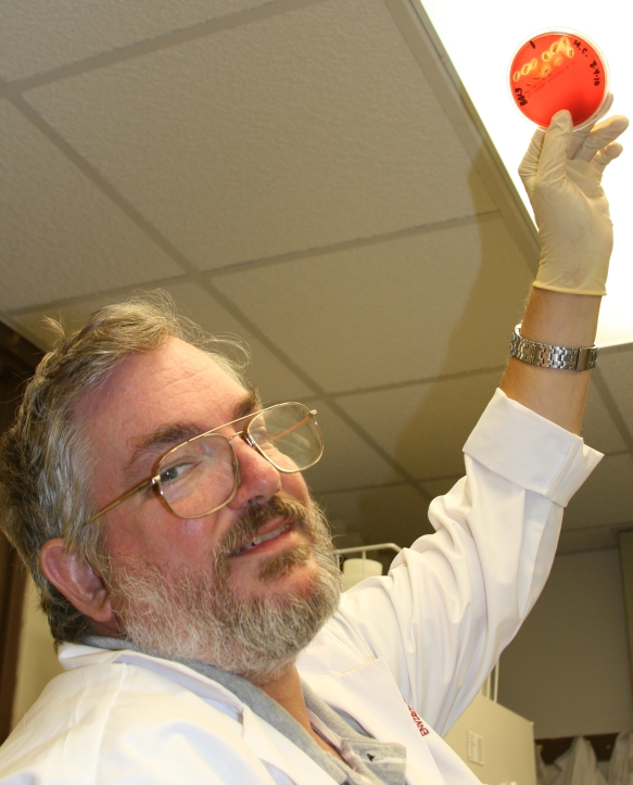 Chris Sinigalliano testing coastal water for Staphylococcus aureus hemolysis activity on a blood agar plate