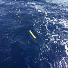 Argo Float Deployed. Photo Credit: NOAA.