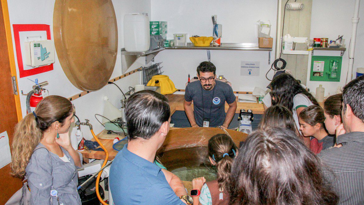 Ricardo Dominguez Buoyancy Demo, Open House 2018