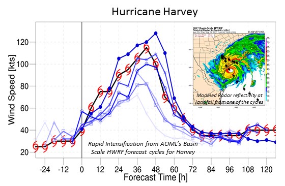 Hurricane Harvey Model Results