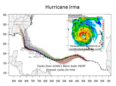 Hurricane Irma Model Results