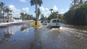 King Tide