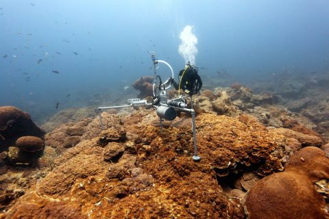 An AOML coral scientist collects data from a Benthic Ecosystem Acidification Monitoring System station in the Flower Garden Banks National Marine Sanctuary. Image credit: NOAA