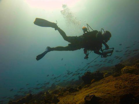 Gideon Butler, de la Universidad de San Diego, coloca un transecto a lo largo de un arrecife. Crédito de la foto: Lauren Valentino, NOAA