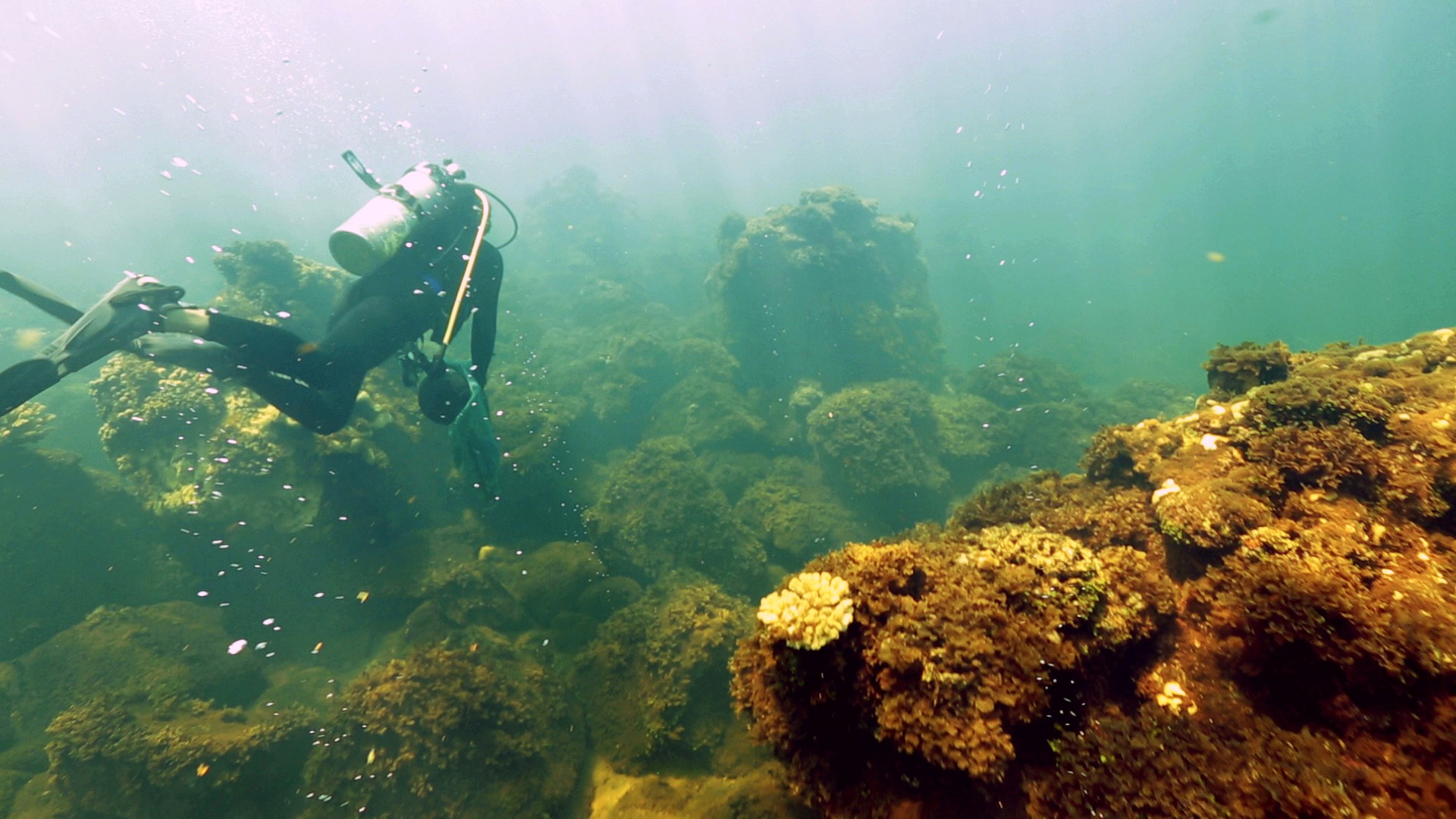 Coral ecologist Ian Enochs dives in the carbon dioxide bubbles of Maug's coral reefs (credit: Stephani Gordon/Open Boat Films/NOAA)