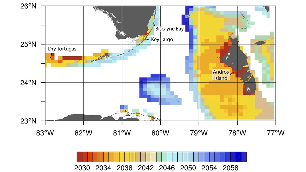 Projected timing in years of the onset of annual severe bleaching for the Florida Reef Tract and the Bahamas at ~11 km resolution. Note that regions in red and orange, such as the Dry Tortugas, are projected to bleach annually starting in the early 2030s, while the more northern stretch of the Florida Keys near Biscayne Bay, are projected to bleach annually in the mid-2040s.