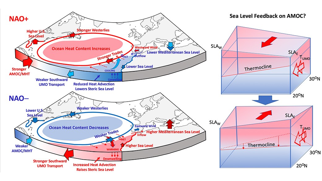 Retroalimentación del nivel del mar en el AMOC