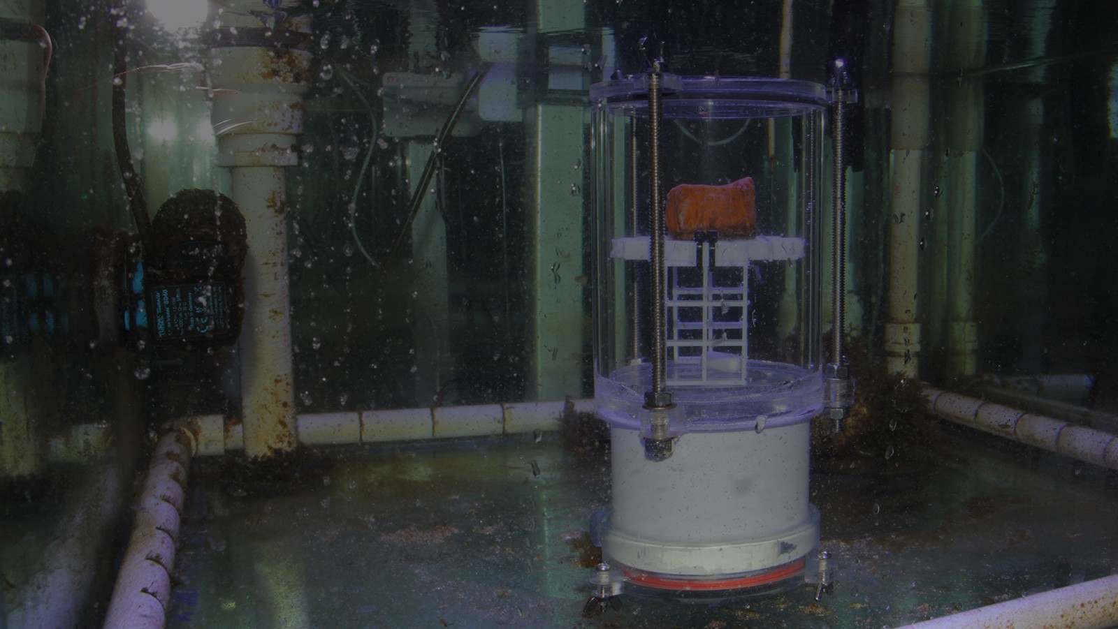 Submursible-Incubation-Chamber Submursible-Incubation-Chamber. Photo Credit: NOAA.