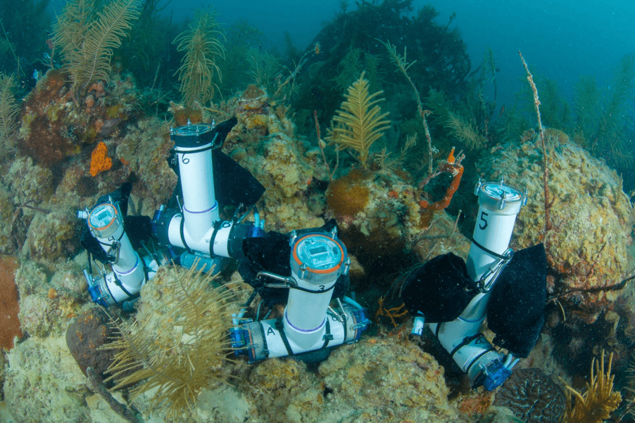 Subsurface Automated Samplers on the reef. Photo Credit, NOAA.