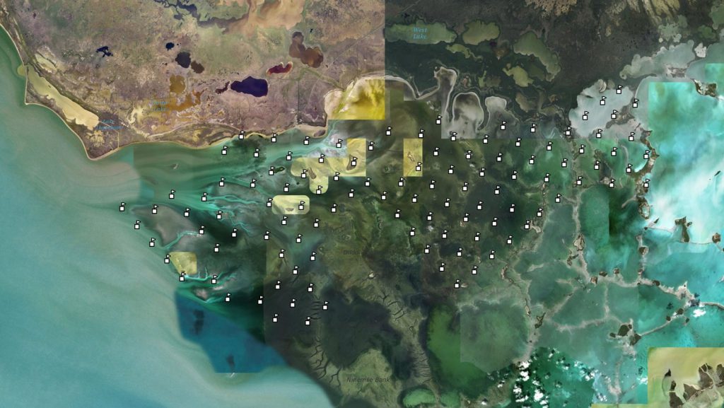 Estas imágenes de satélite en color real muestran las estaciones de muestreo como banderas monitoreadas por el equipo de investigación del Juvenile Sportfish.