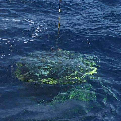 CTD under sparkling clear blue water. Image credit: NOAA