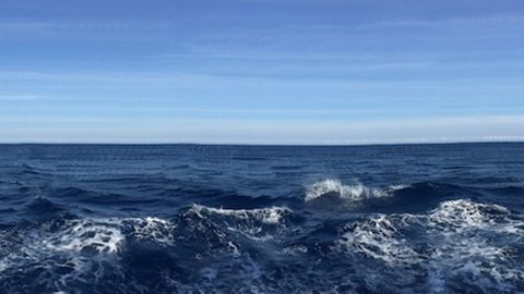 Panoramic view of the ocean water from R/V Endeavor. Image credit: NOAA