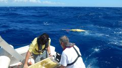 El profesor Julio Morell y Luis Pomales de la Universidad de Puerto Rico en Mayaguez despliegan el planeador submarino. Crédito de la imagen: NOAA