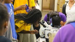 Un par de estudiantes observan microorganismos bajo el microscopio. Crédito de la imagen: NOAA