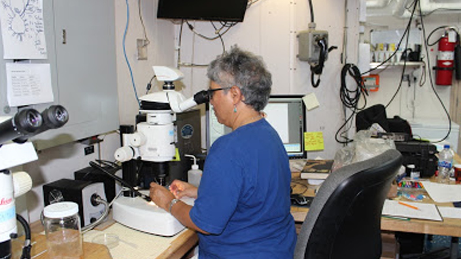 Los científicos que trabajan a bordo de la nave de investigación Nancy Foster. Crédito de la imagen: NOAA