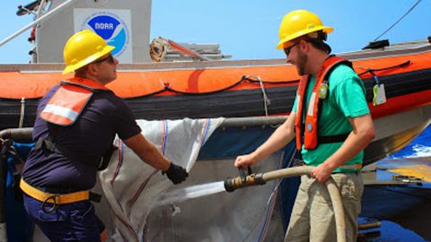 Scientists working aboard the Nancy Foster research ship. Image credit: NOAA