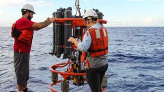 Scientists conduct experiments in the Florida Straits. Image credit: NOAA
