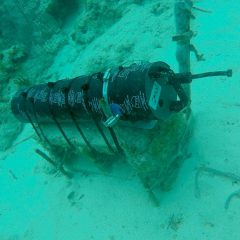 Un sensor ECO-PAR recién instalado para medir la luz en el arrecife. Crédito de la imagen: NOAA