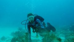 La científica coralina del AOML, Renee Carlton, se prepara para cambiar el instrumento ECO-PAR en un lugar de buceo en los Cayos Superiores. Crédito de la imagen: NOAA