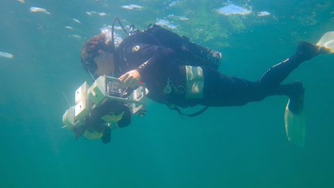 Un científico coralino de la Universidad de Miami recoge fotos de un arrecife para ser compiladas en un mosaico de fotos. Crédito de la imagen: NOAA