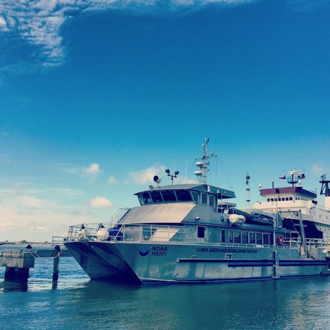 The NOAA research vessel Manta at port in Galveston, Texas before its sail to the Flower Garden Banks National Marine Sanctuary. Image credit: NOAA