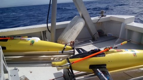 Both gliders on board the R/V La Sultana on their way back to shore. Image credit: NOAA