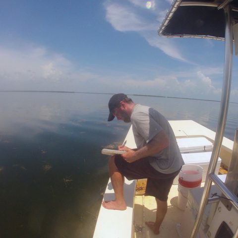 El científico del AOML evalúa la cubierta de pasto marino durante un estudio en la bahía de Florida. Crédito de la imagen: NOAA
