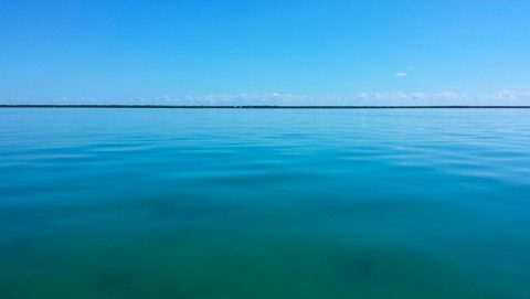 Las encuestas se realizan en las aguas de la bahía de Florida, cerca de Key Largo. Crédito de la imagen: NOAA