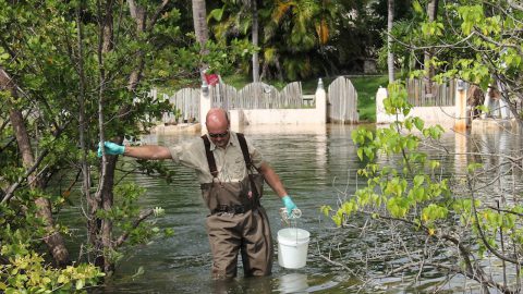 Scientist collects a water sample from a pump location along Indian Creek Dr. Image credit: NOAA
