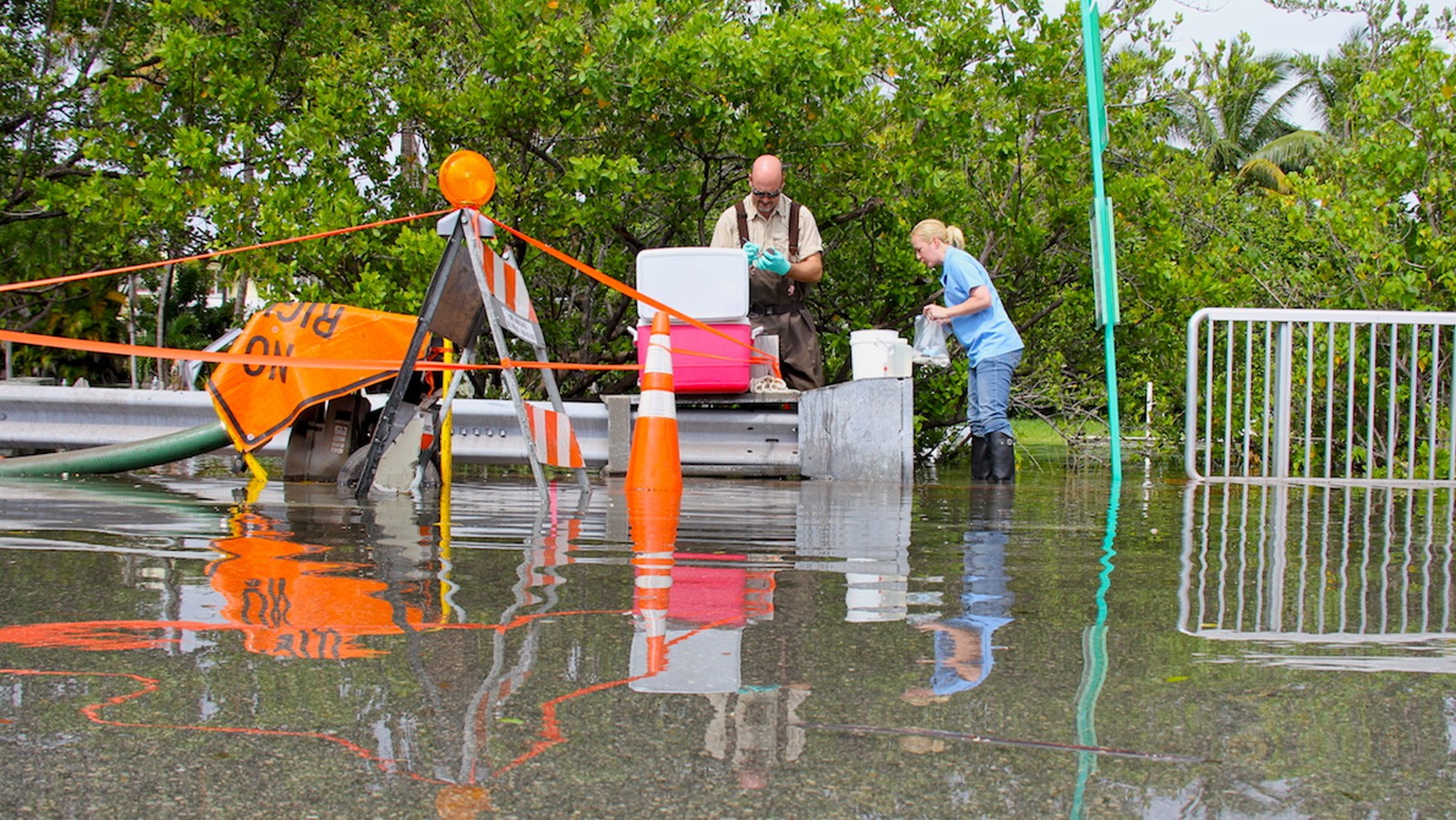 Científicos de la FAU y la AOML recogen muestras de agua en un lugar de bombeo a lo largo de Indian Creek Dr. Crédito de la imagen: NOAA