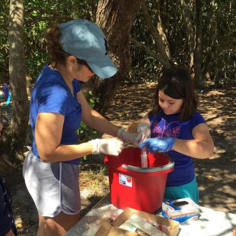 El personal del AOML ayuda a los ciudadanos científicos a recoger una muestra de agua en el Matheson Hammock Park de Miami. Crédito de la imagen: NOAA