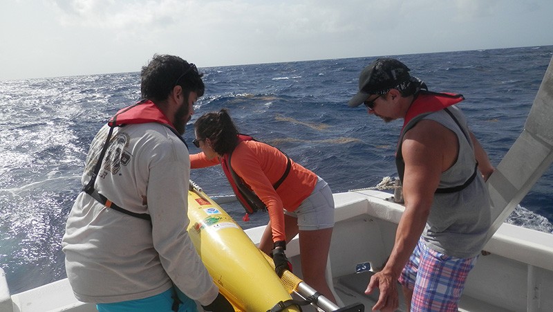 AOML staff work alongside Caribbean Coastal Ocean Observing System and University of Puerto Rico at Mayaguez personnel to launch the glider. Image credit: NOAA