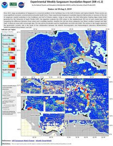 Experimental Weekly Sargassum Inundation Report from July 30-August 5, 2019. 