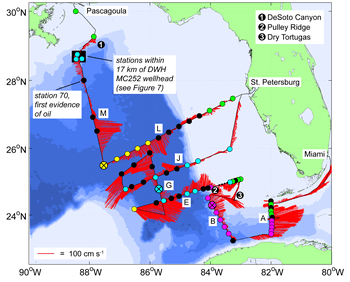 In-situ surface current velocity from ADCP (red vectors) and CTD station markers are shown for the July 2010 survey. Marker colors indicate the station θ-S profile classification as either GCW, LCW, EFCW, Coastal Shelf Water (green), or mixed-interleaved (black). Stations lacking waters denser than σθ = 24.0 kg m-3 are shown as small black dots. Prototype profile locations are indicated by an "x" and an enlarged marker. Letters identify selected sections along the cruise track. Image Credit: NOAA AOML.