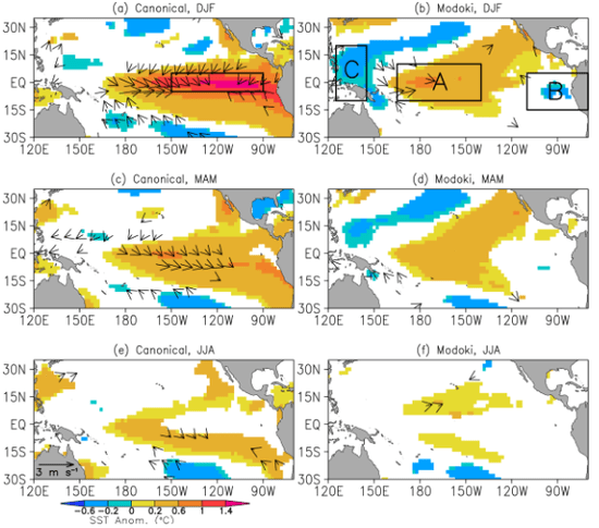Compuestos de SST y anomalías de vientos de superficie para 21 eventos de El Niño canónicos y 12 Modoki que van desde el pico de eventos en DJF hasta el siguiente JJA. Los vectores de TSM y de viento mostrados son significativos en el nivel del 10% basado en la prueba de la T de una muestra de Student. Los recuadros de las Figuras 1a (1b) muestran las regiones del Niño-3 (El Niño Modoki).