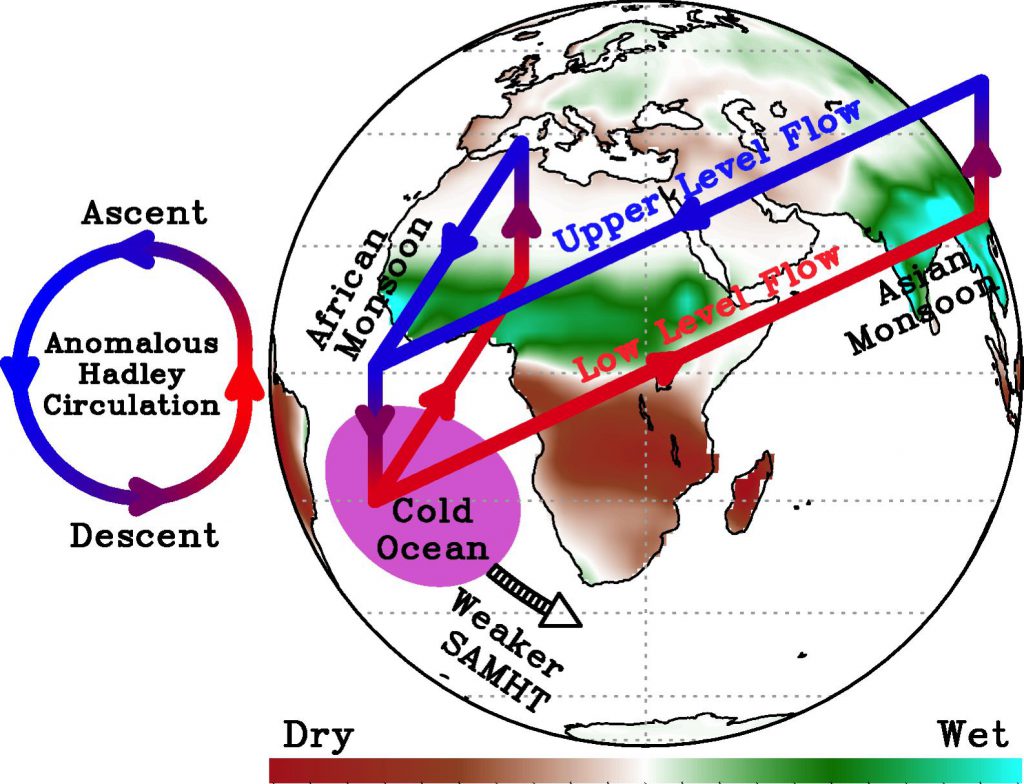 Illustration of the role of weaker-than-normal SAMHT in the anomalous atmospheric circulation at 20 years lead-time. Weakened SAMHT is shown by thick black arrow. This results in a cooler than normal South Atlantic Ocean (labeled by purple shade) which produce an anomalous Hadley circulation labeled by counterclockwise circulation. The lower branch of the circulation (red arrow) brings warm and moist air from the Southern Hemisphere (SH) to the Northern Hemisphere (NH). This circulation sense produces ascent and precipitation in the NH thus enhancing the NH monsoons and descent and less precipitation in the Southern Hemisphere. Image Credit: NOAA AOML.