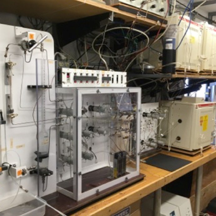 How does the ocean move, and how can you tell? Katey Williams aboard the GO-SHIP I07 Cruise is tracking Chloroflurocarbons (CFCs) through gas chromatography to study how water masses migrate through the ocean. Find out more on the GO-SHIP I07N Blog.