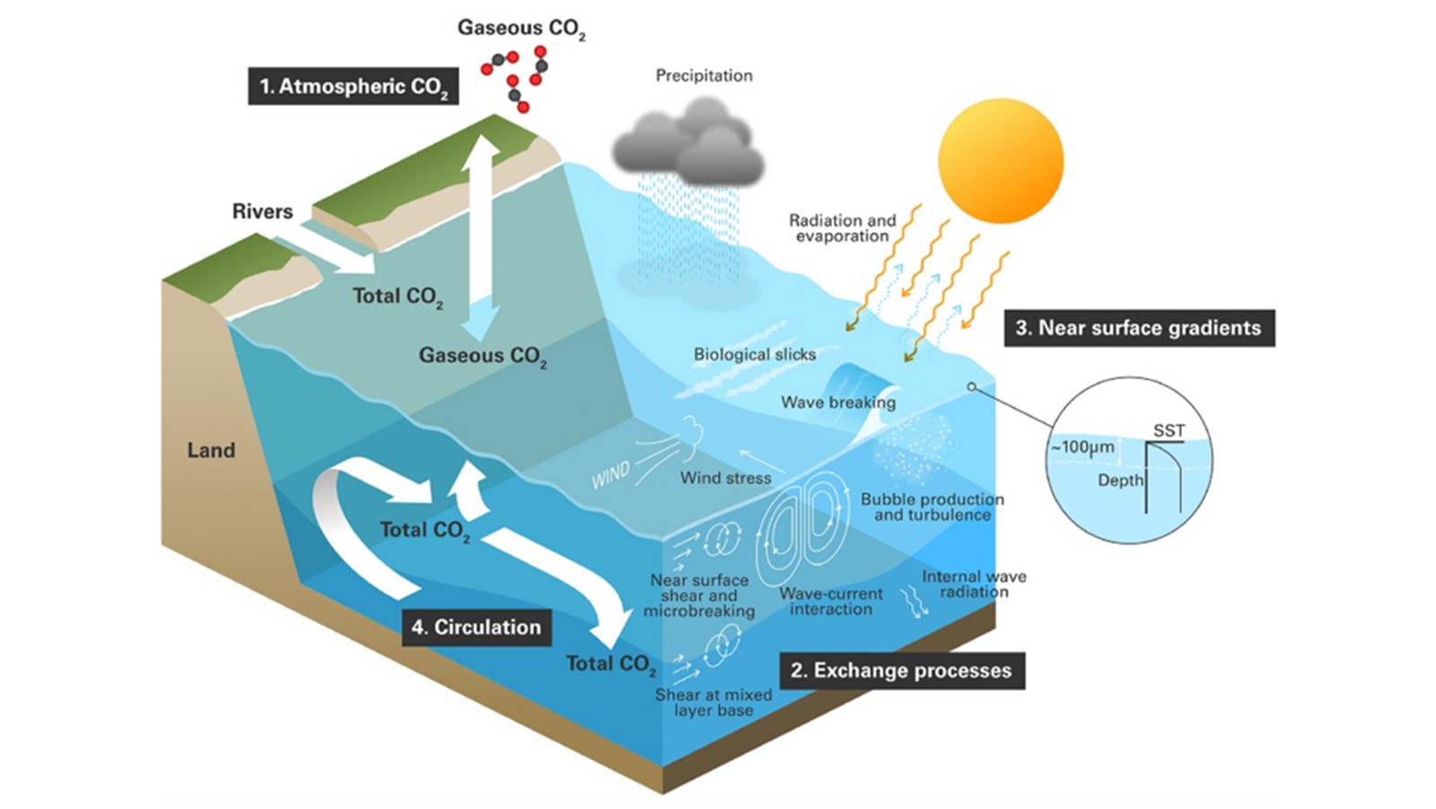 Diagrama que muestra las interacciones, el intercambio y la circulación del dióxido de carbono dentro del océano, identificando dónde es probable que las observaciones de la Tierra desde satélites desempeñen un papel principal en la ampliación de la comprensión y la capacidad: 1) mediciones atmosféricas en la superficie del océano; 2) cuantificación de los procesos de intercambio de gas, impulso y calor entre la atmósfera y el océano; 3) captura de los gradientes cercanos a la superficie en el agua; y 4) medición de la circulación interna y el transporte en la superficie. Imagen de Fronteras en la Ecología y el Medio Ambiente.