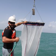 Scientist Ian Smith conducting a net tow aboard the R/V Walton Smith. Photo Credit: NOAA AOML.