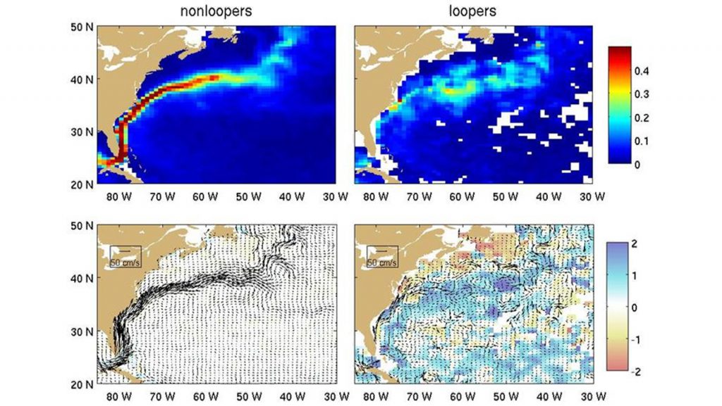 Top: time-mean total kinetic energy (shading; m2/s2 ) of drogued nonloopers (left) and loopers (right) in the Gulf Stream region. Bottom: time-mean spin (shading; 10-5s-1 ), and velocity (arrows) of nonloopers (left) and loopers (right). Both panels use the same color range for spin. Image Credit: NOAA.