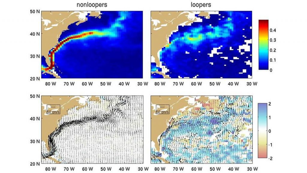 Top: time-mean total kinetic energy (shading; m2/s2 ) of drogued nonloopers (left) and loopers (right) in the Gulf Stream region. Bottom: time-mean spin (shading; 10-5s-1 ), and velocity (arrows) of nonloopers (left) and loopers (right). Both panels use the same color range for spin. Image Credit: NOAA. 