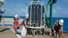 Scientists collecting water samples from the Niskin bottles. Image credit: NOAA