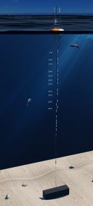 This schematic shows the 11 sensors at their respective depths. These sensors will collect real-time ocean profile measurements.